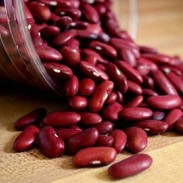 BEANS (LOBIA)