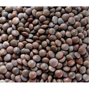 DAAL MASOOR BLACK