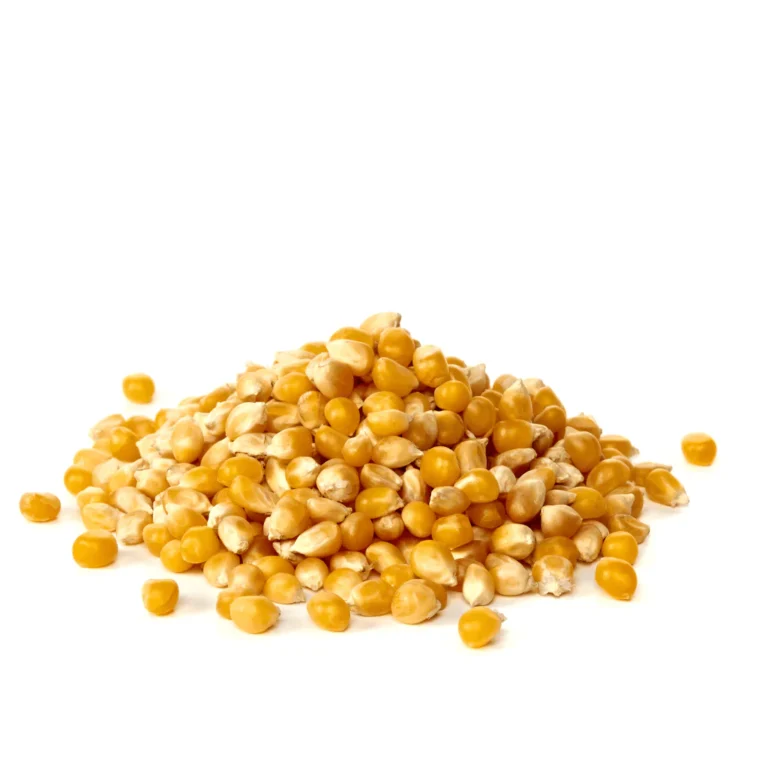POPCORN (200 GRAM)
