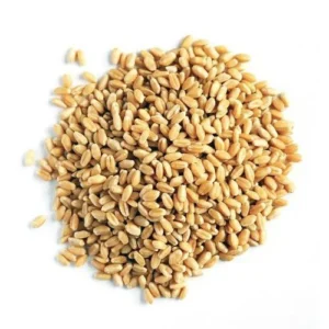 Gandam Dana (500GRAM)